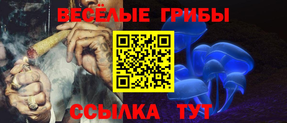 Псилоцибиновые грибы Psilocybine cubensis Уварово