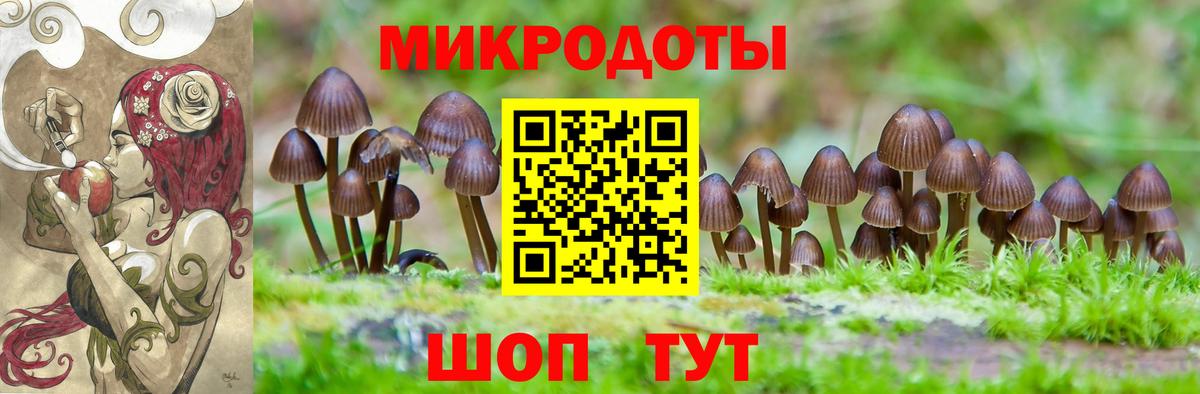 Уварово  Галлюциногенные грибы Cubensis  Вход с VPN  Галлюциногенные грибы Cubensis 